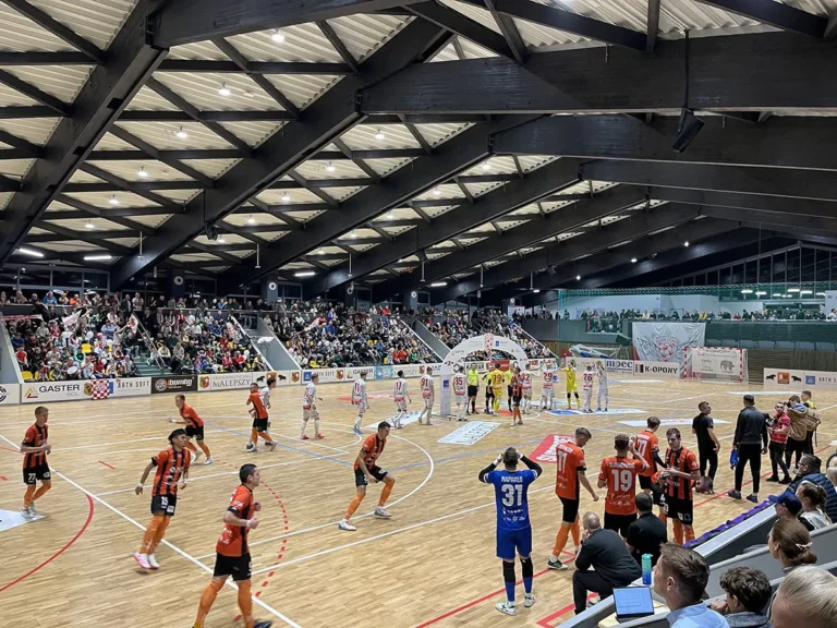 Hala Widowiskowo Sportowa TRAPEZ: system nagłośnienia Bose Professional