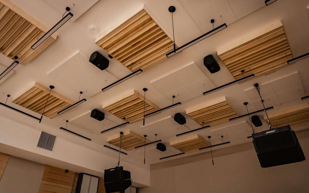 Systemy audio w łódzkim BCU: dostawa, montaż i uruchomienie